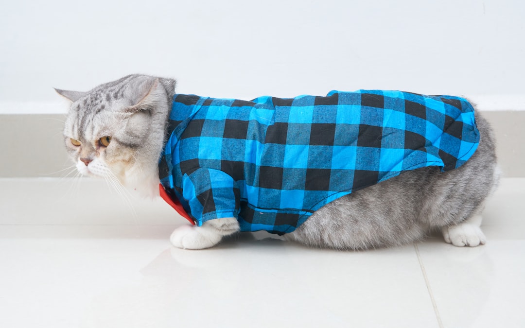 pete the cat pete the cat